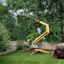 Best Lot and Land Clearing  in Corinth, TX
